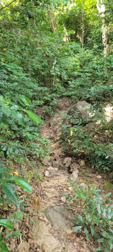 The first photo in a series of three showing the steep path to Koh Adang viewpoint