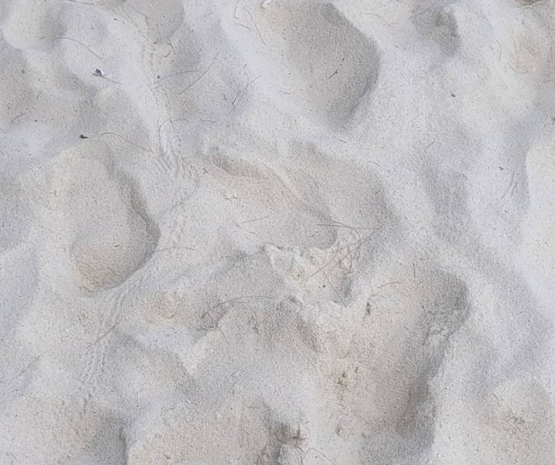 white powder sand Sunrise Beach